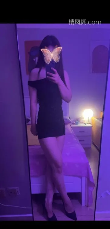 全国免费楼凤资源