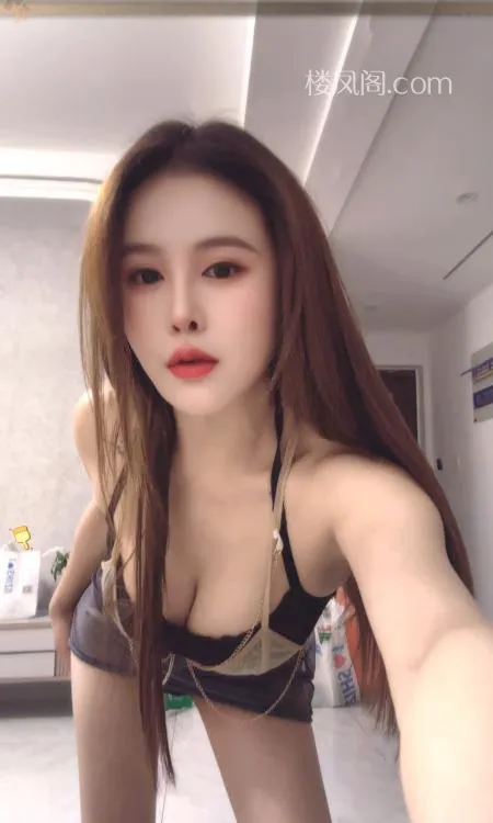 全国免费楼凤资源