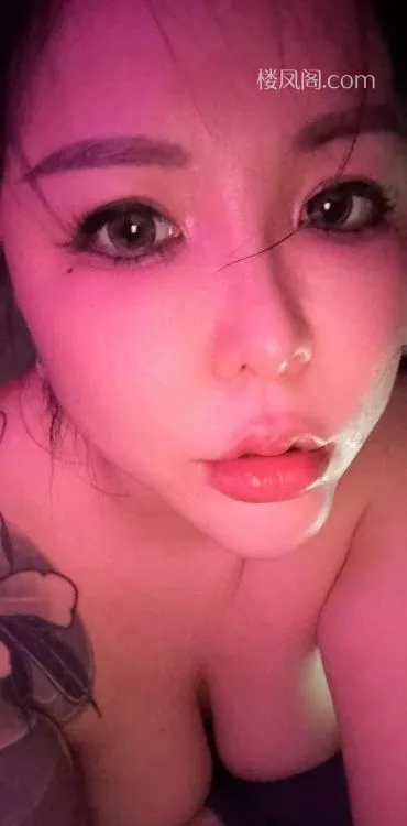 全国免费楼凤资源