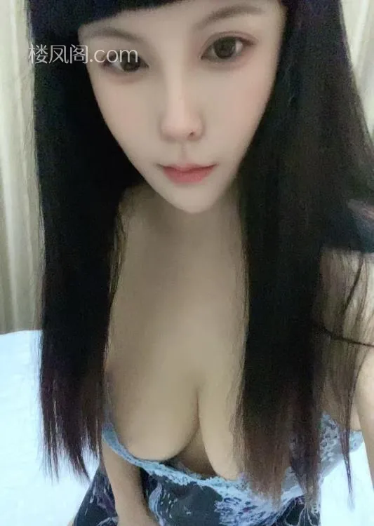 全国免费楼凤资源