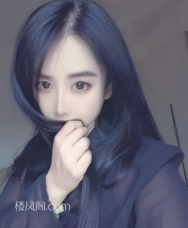 全国免费楼凤资源