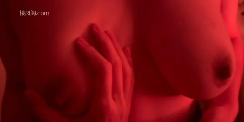 全国免费楼凤资源