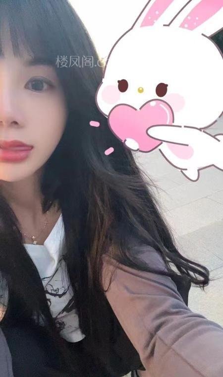 全国免费楼凤资源