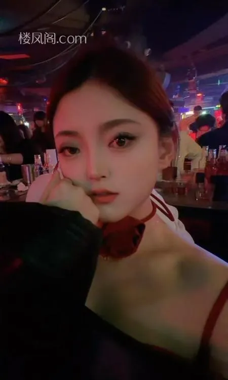 全国免费楼凤资源