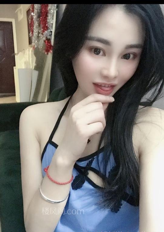 全国免费楼凤资源