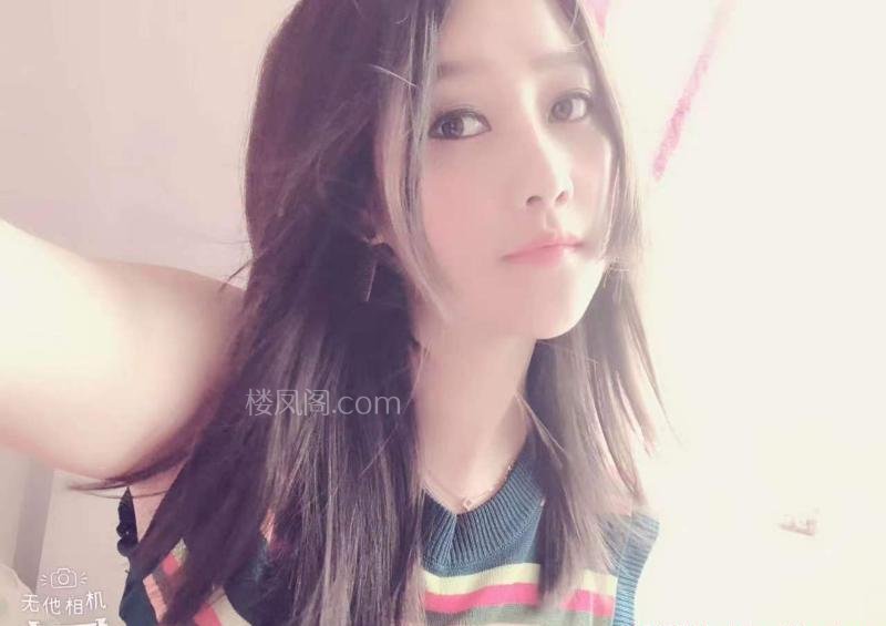 全国免费楼凤资源