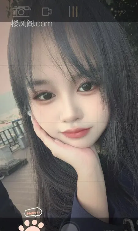 全国免费楼凤资源