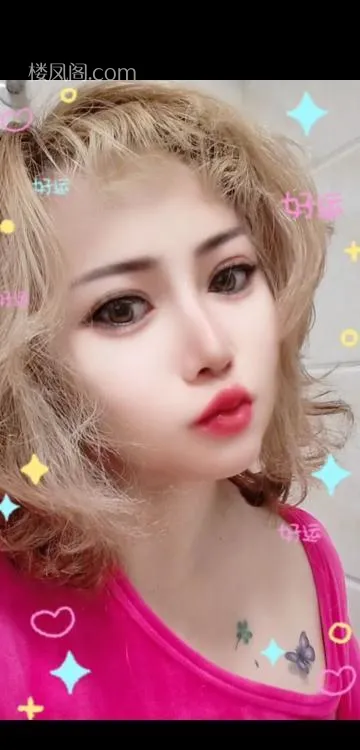 全国免费楼凤资源