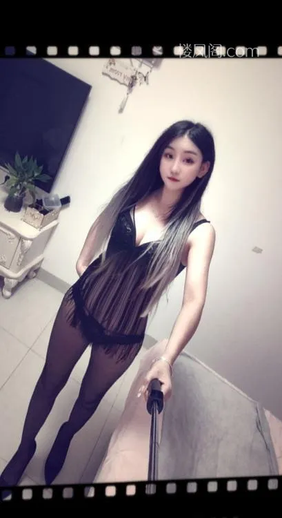 全国免费楼凤资源