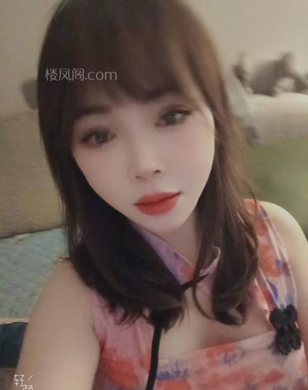 全国免费楼凤资源