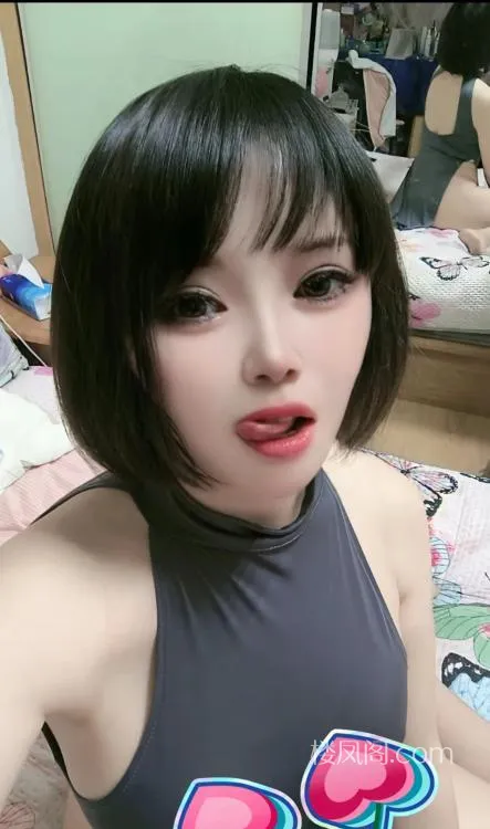 全国免费楼凤资源