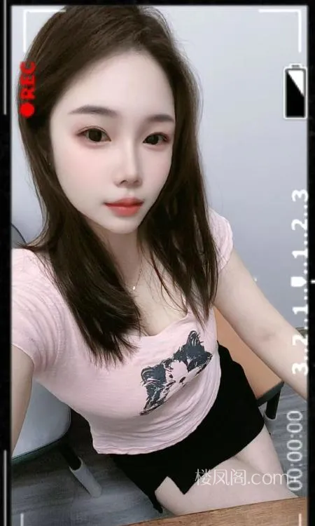 全国免费楼凤资源