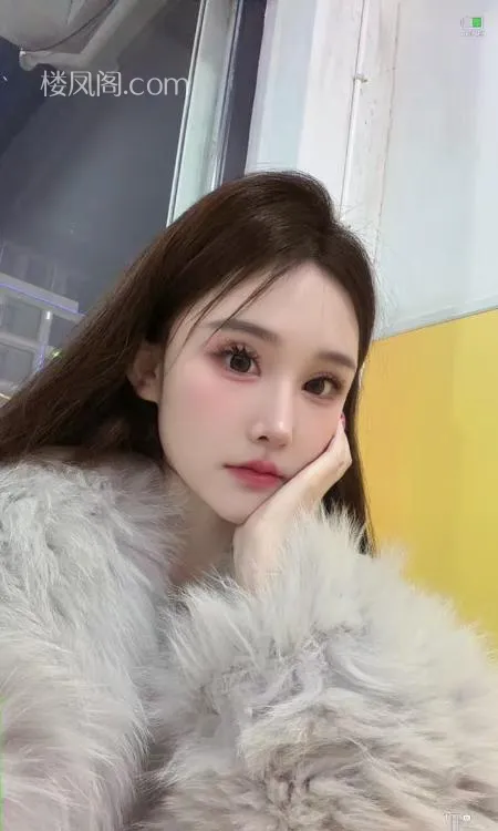 全国免费楼凤资源