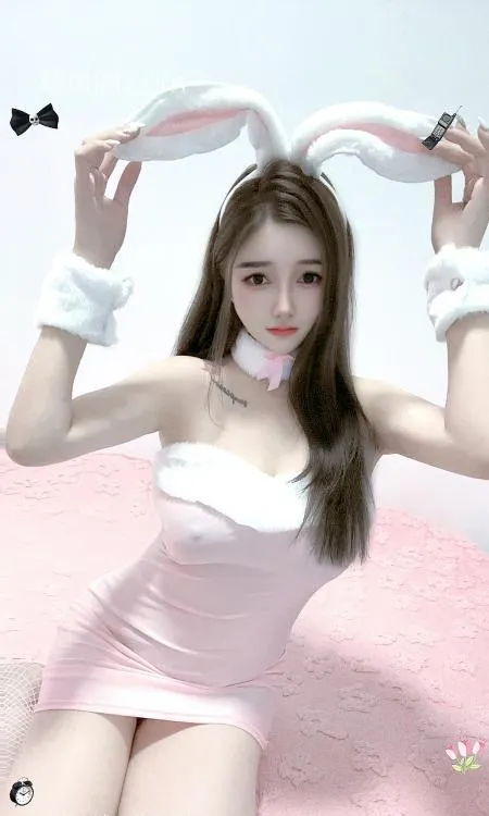 全国免费楼凤资源