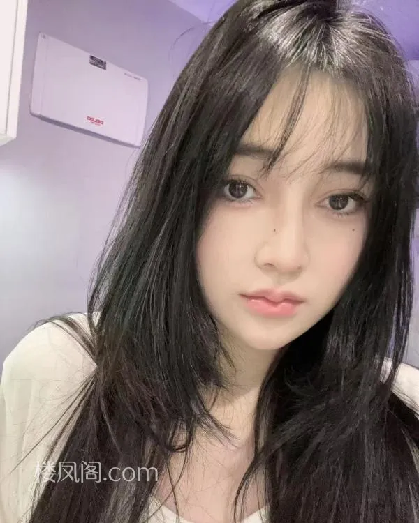 全国免费楼凤资源