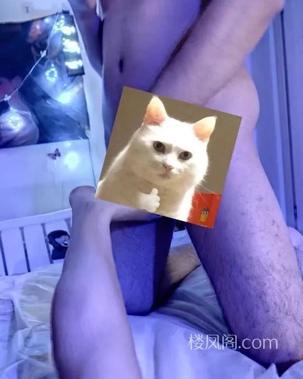 全国免费楼凤资源