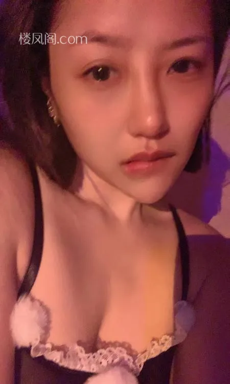 全国免费楼凤资源