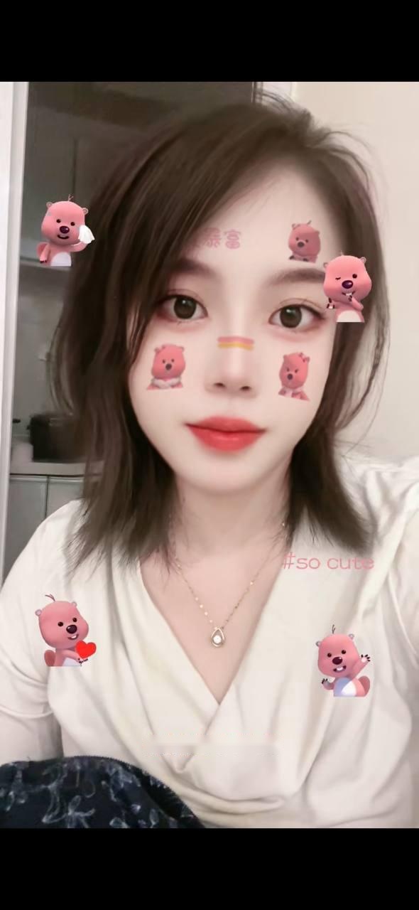 全国免费楼凤资源