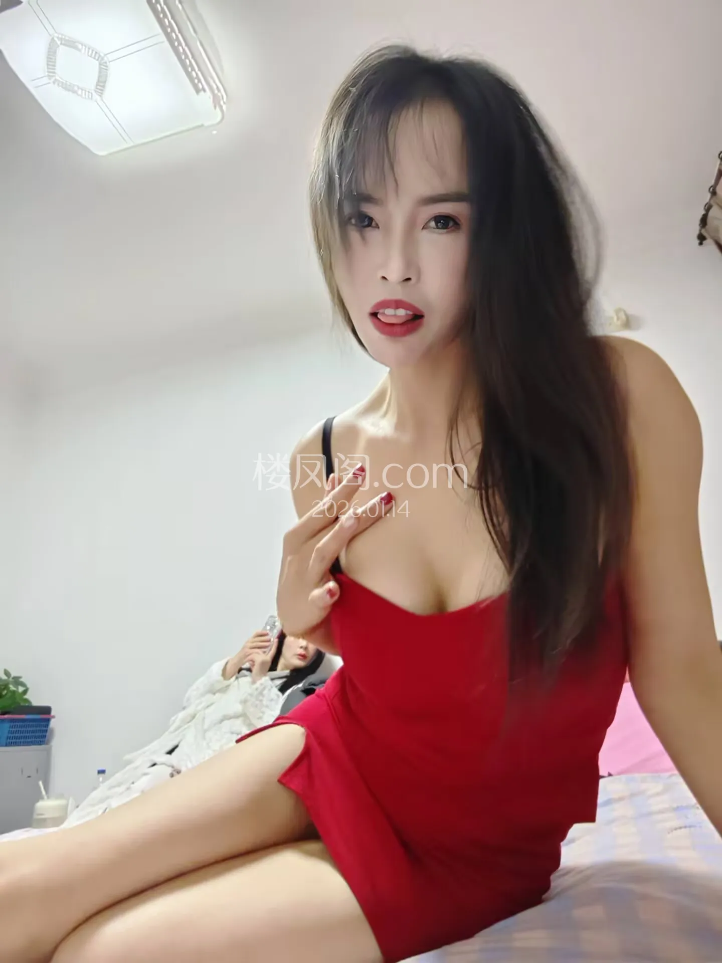 全国免费楼凤资源