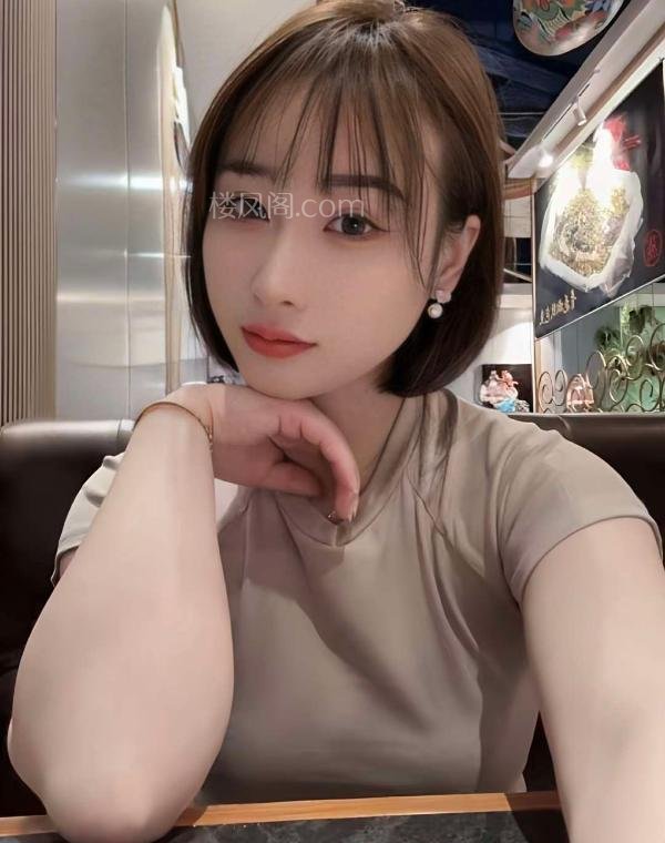 全国免费楼凤资源