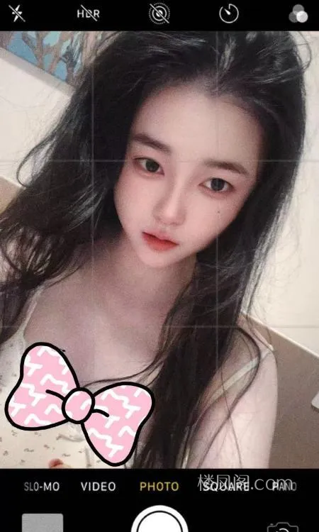 全国免费楼凤资源