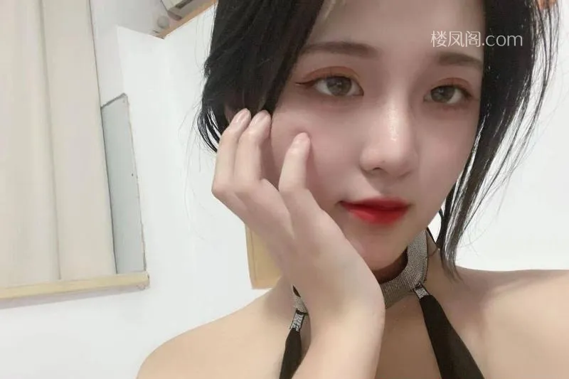 全国免费楼凤资源