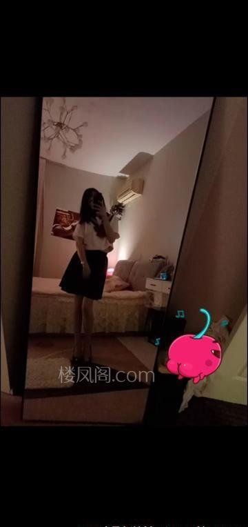 全国免费楼凤资源