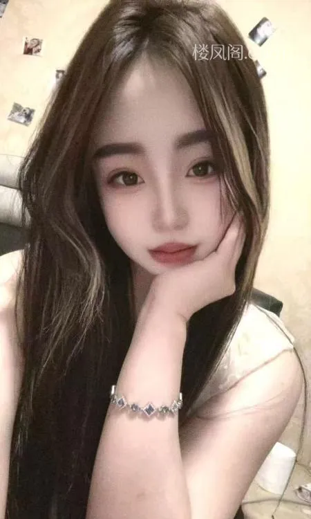 全国免费楼凤资源