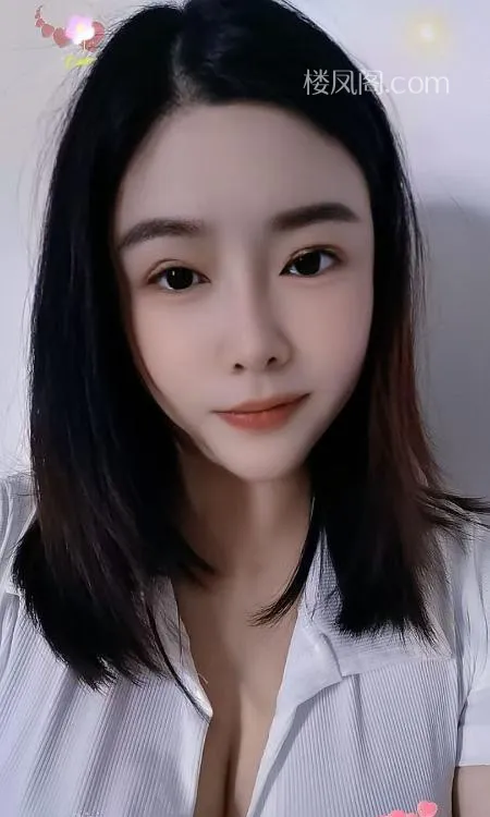 全国免费楼凤资源