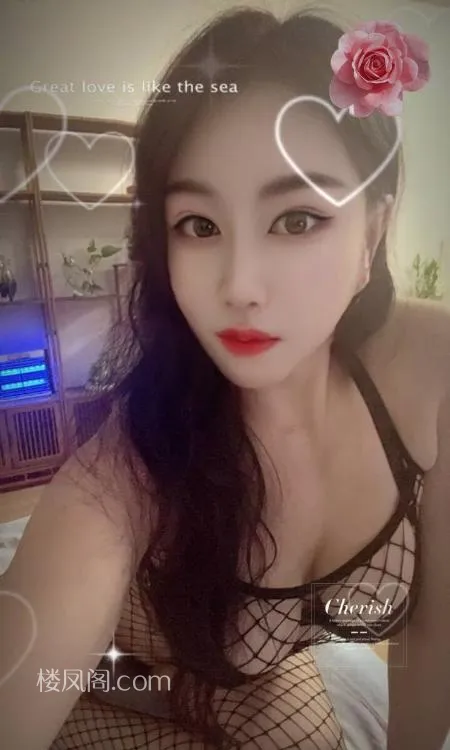 全国免费楼凤资源