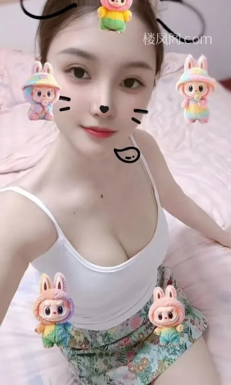 全国免费楼凤资源