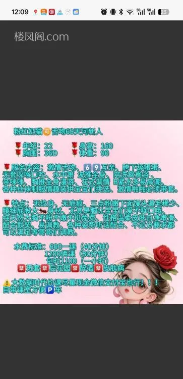 全国免费楼凤资源