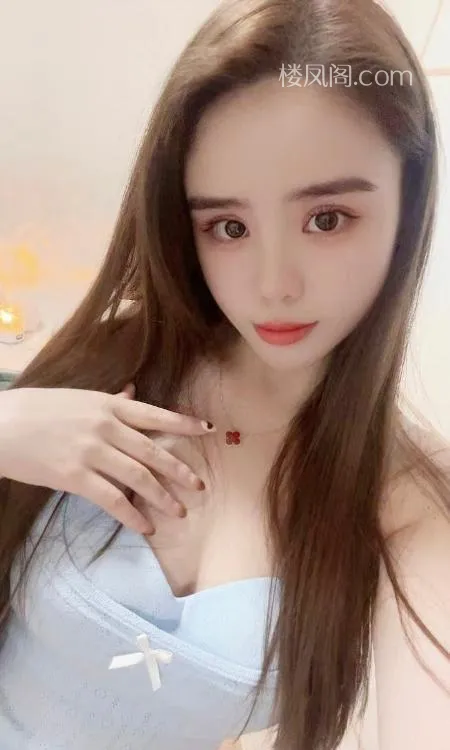 全国免费楼凤资源