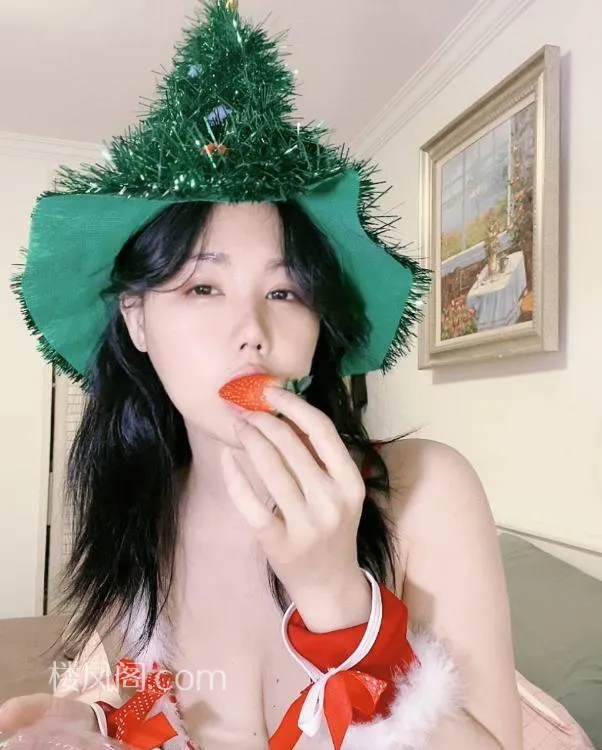 全国免费楼凤资源