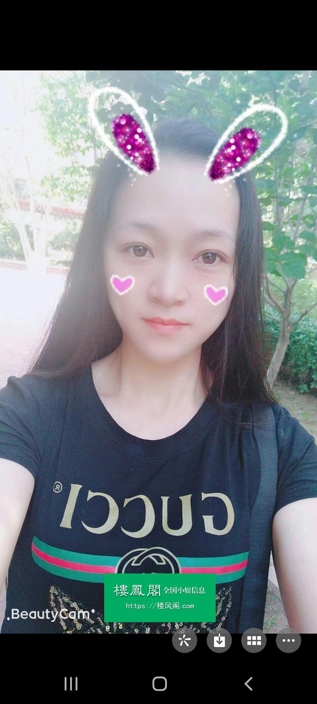 全国免费楼凤资源