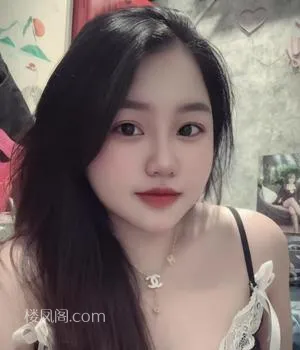 全国免费楼凤资源