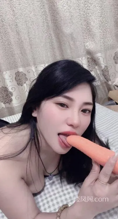 全国免费楼凤资源