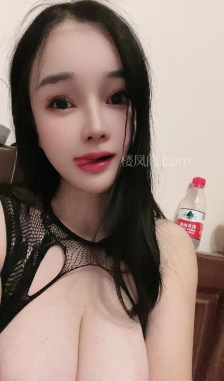 全国免费楼凤资源