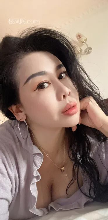 全国免费楼凤资源