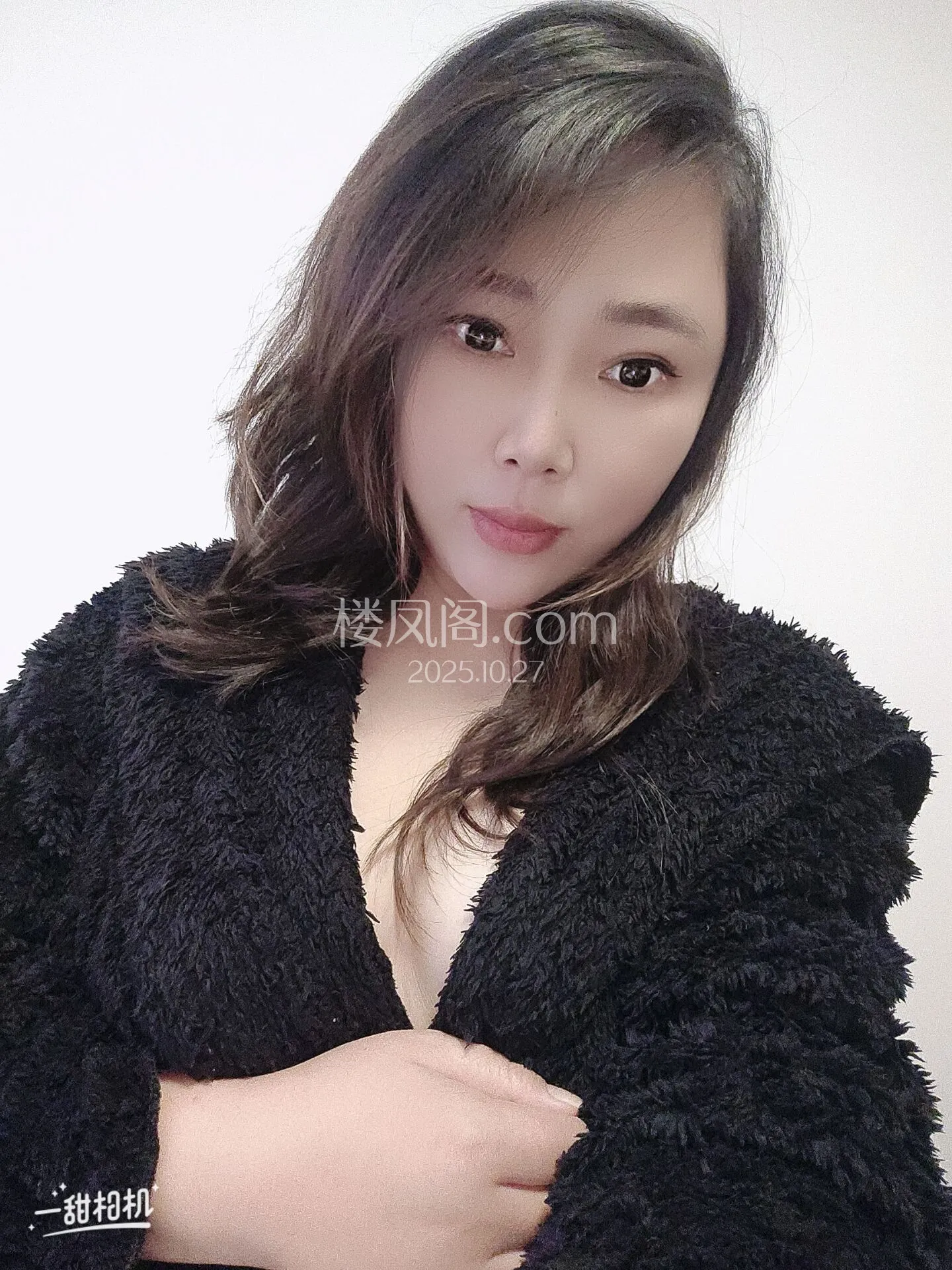 全国免费楼凤资源