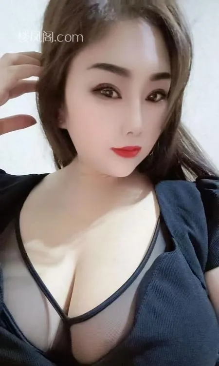 全国免费楼凤资源