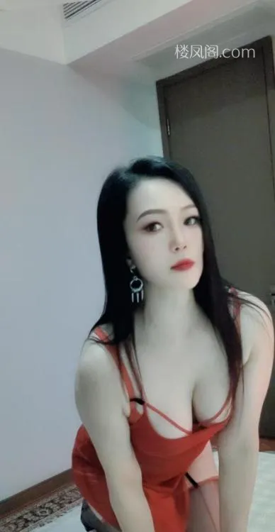 全国免费楼凤资源