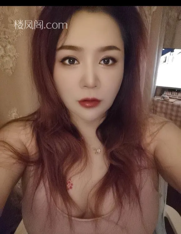 全国免费楼凤资源