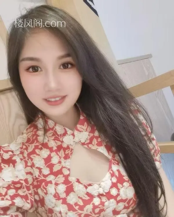 全国免费楼凤资源