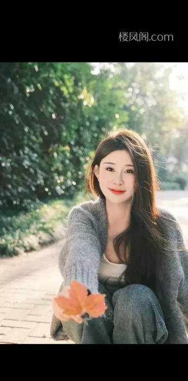 全国免费楼凤资源