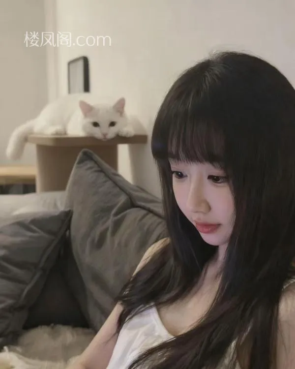 全国免费楼凤资源