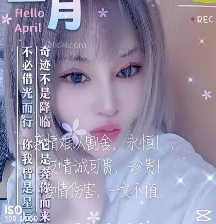 全国免费楼凤资源