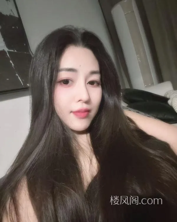 全国免费楼凤资源