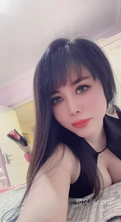 全国免费楼凤资源