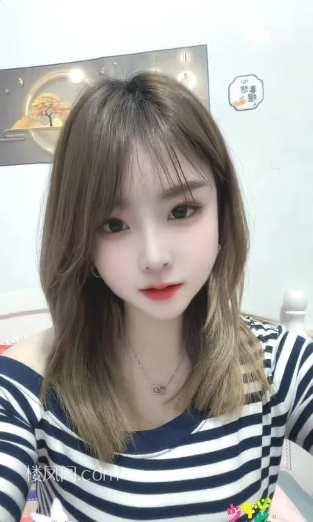 全国免费楼凤资源